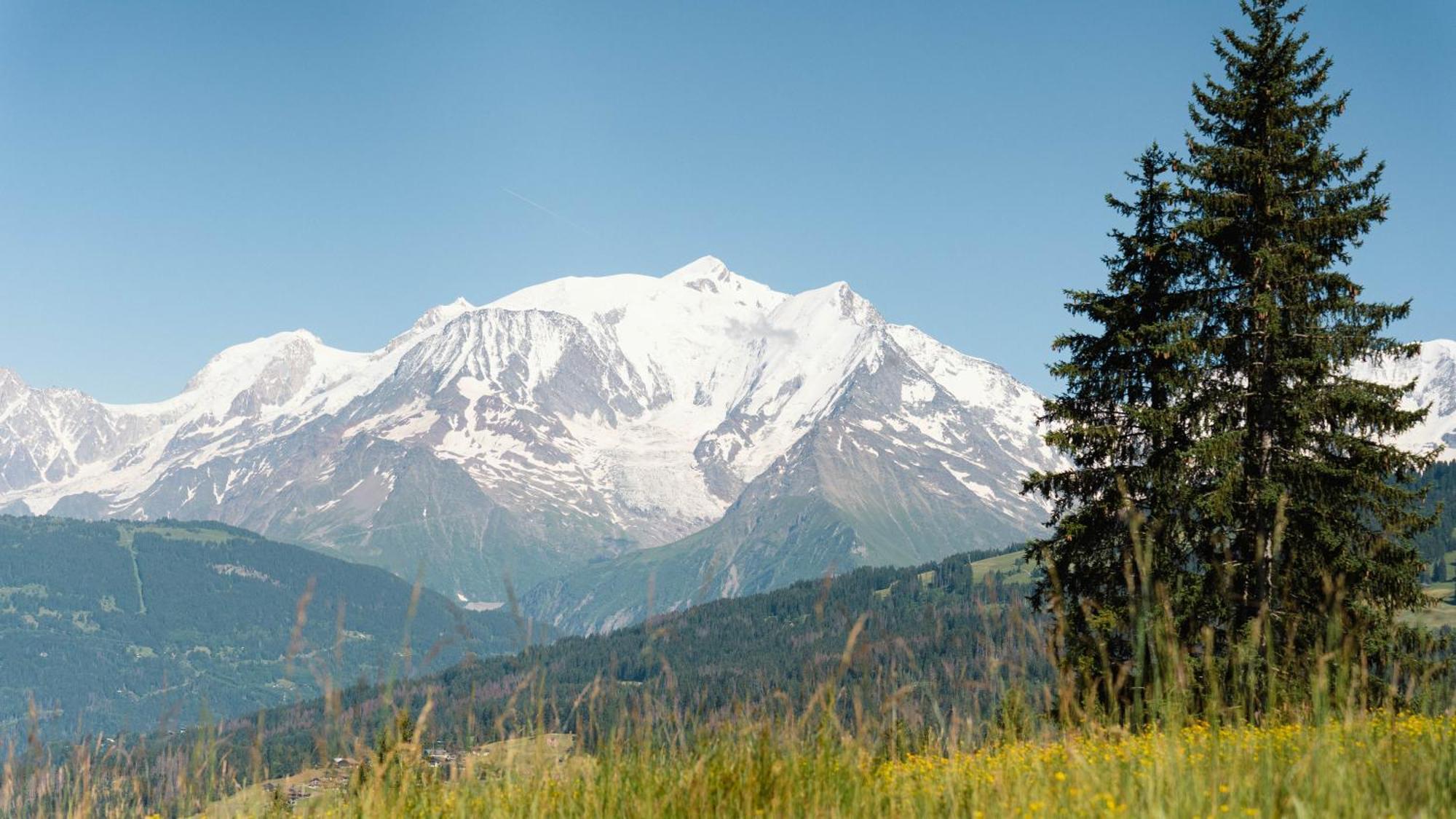 Chalet Alpen Valley, Mont-Blanc Combloux Exteriör bild
